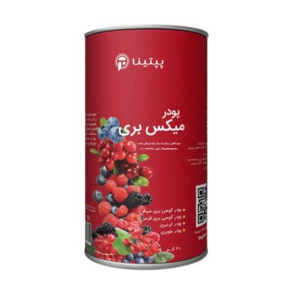 قوطی 40 گرمی میکس بری پپتینا